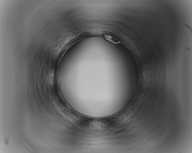 X0000103480596200809261929