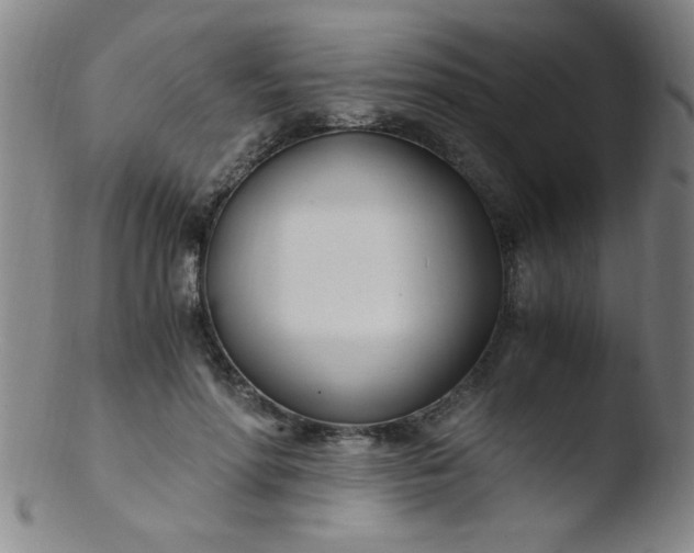 X0000103480598200809261929