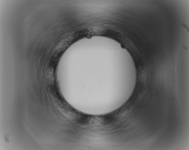 X0000103480599200809261929