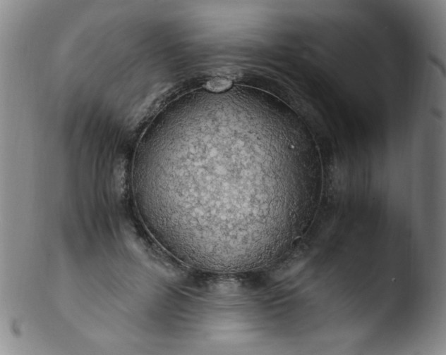 X0000103480600200809261929