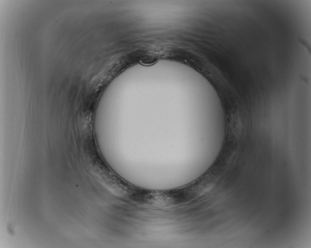 X0000103480601200809261929