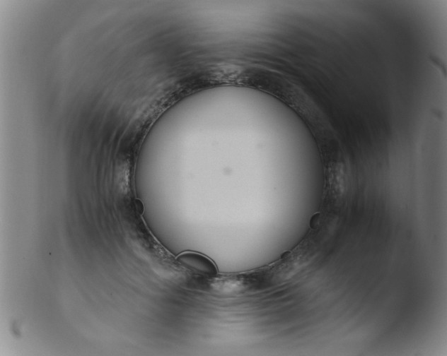 X0000103480602200809261929