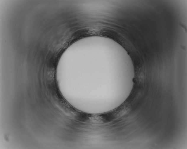 X0000103480603200809261929