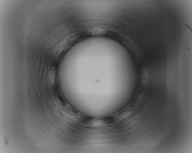 X0000103480604200809261929