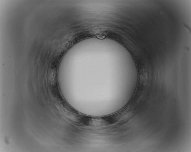 X0000103480605200809261929