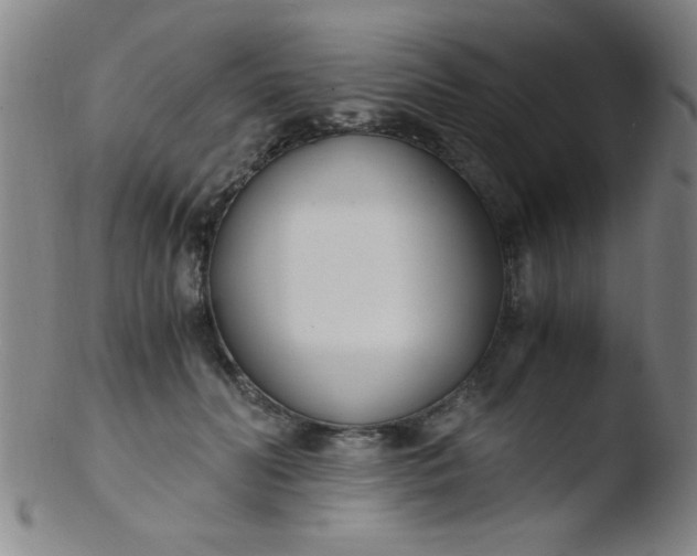 X0000103480606200809261929