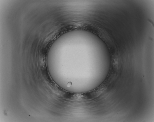 X0000103480607200809261929