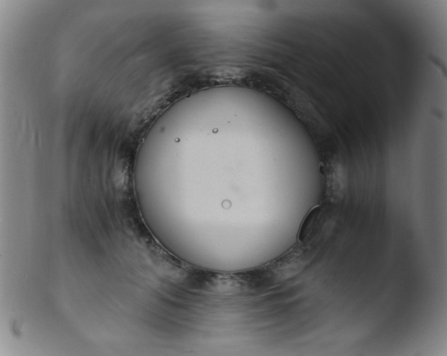 X0000103480608200809261929