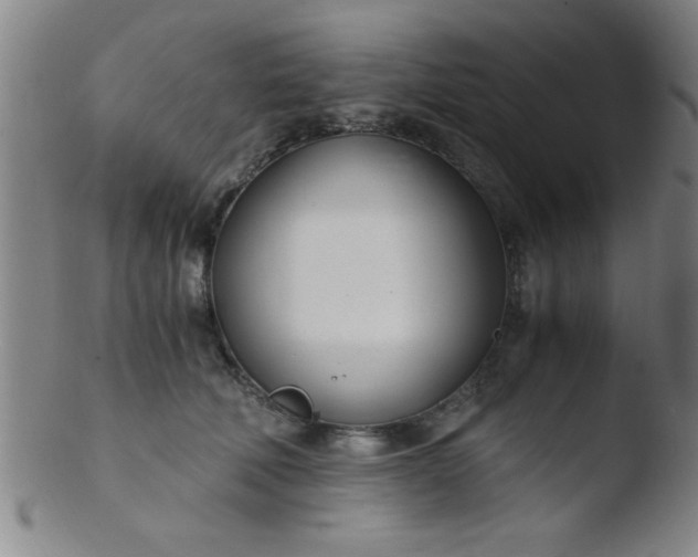 X0000103480610200809261929