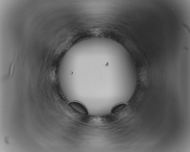 X0000103480611200809261929