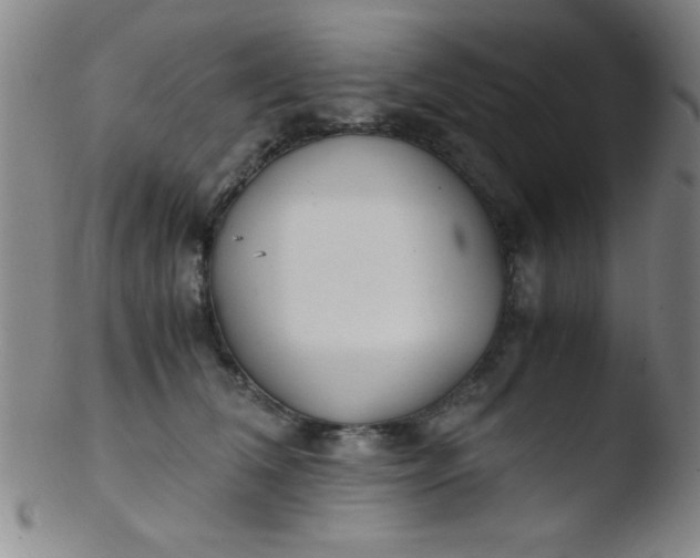 X0000103480612200809261929