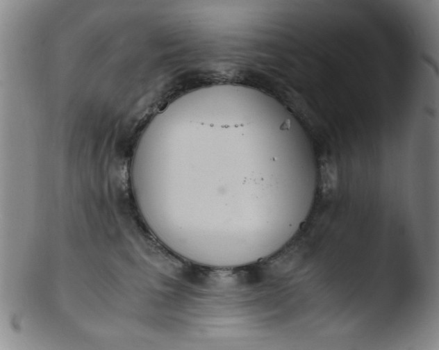 X0000103480613200809261929