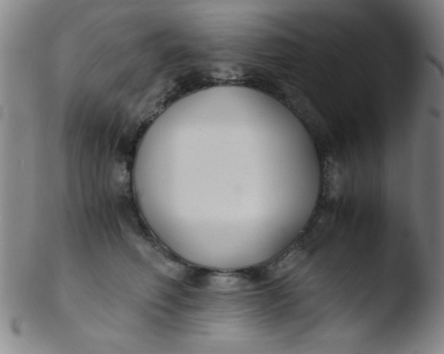 X0000103480614200809261929