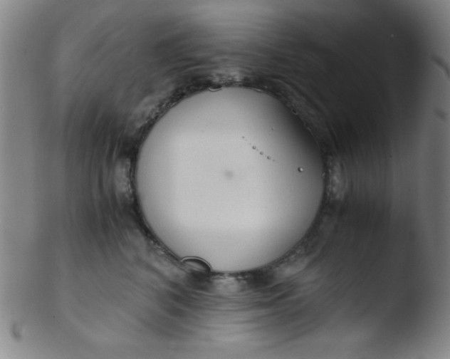 X0000103480616200809261929