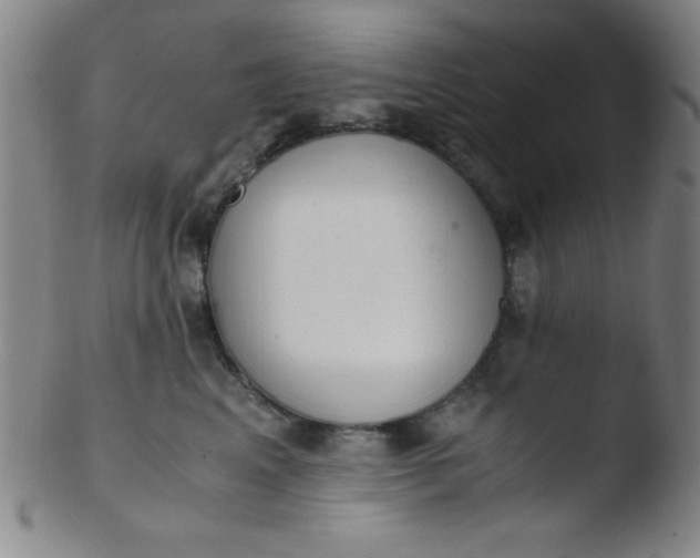 X0000103480617200809261929