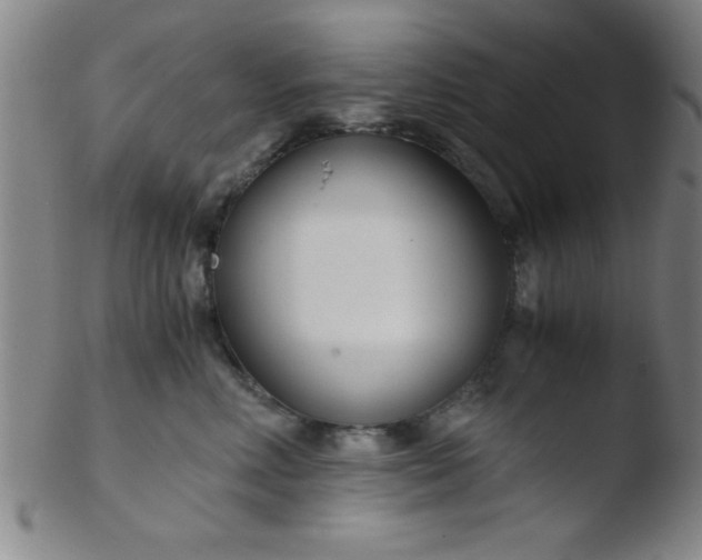 X0000103480618200809261929