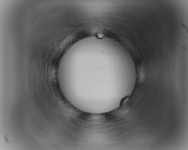 X0000103480619200809261929