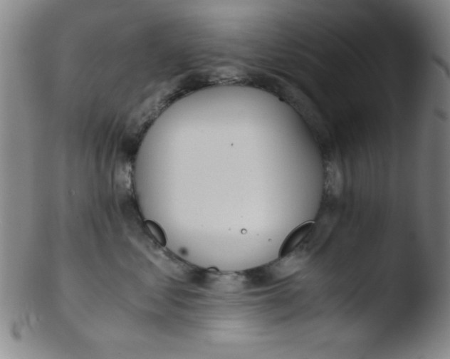 X0000103480621200809261929