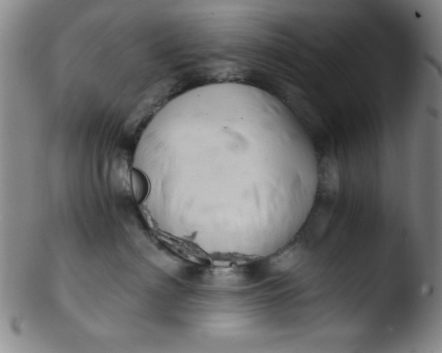 X0000103480622200809261929