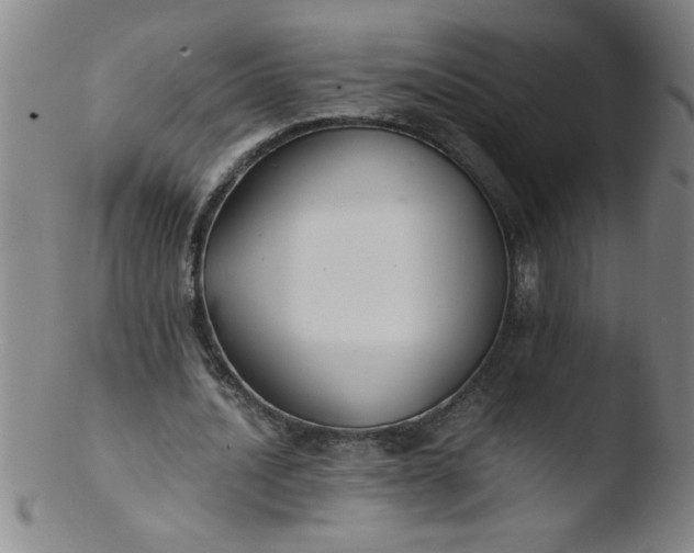 X0000103480628200809261928