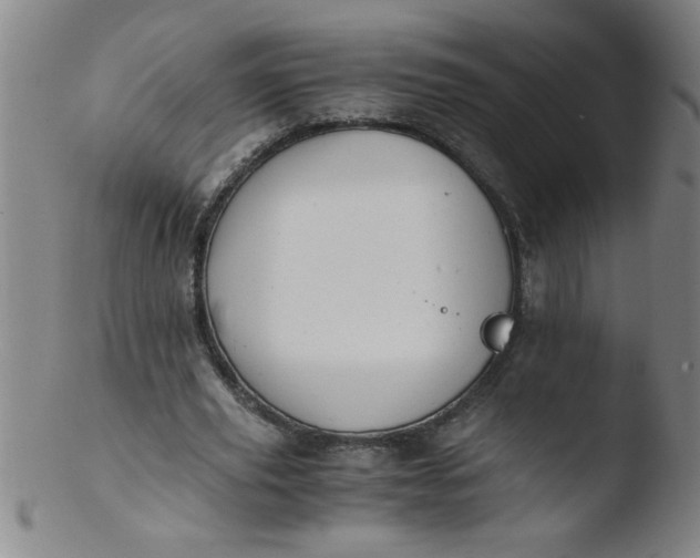 X0000103480629200809261928