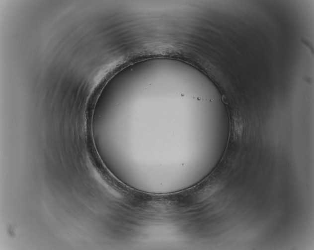 X0000103480630200809261928