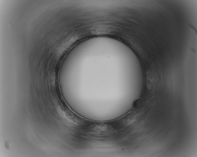 X0000103480631200809261928