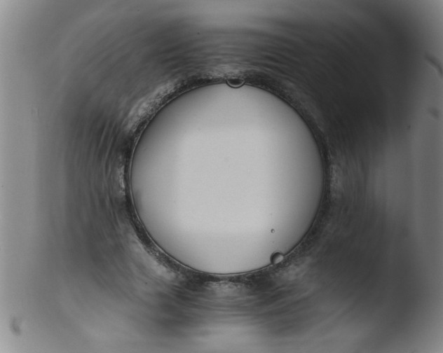 X0000103480633200809261928