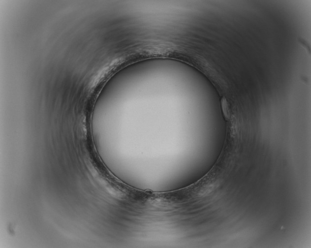 X0000103480634200809261928