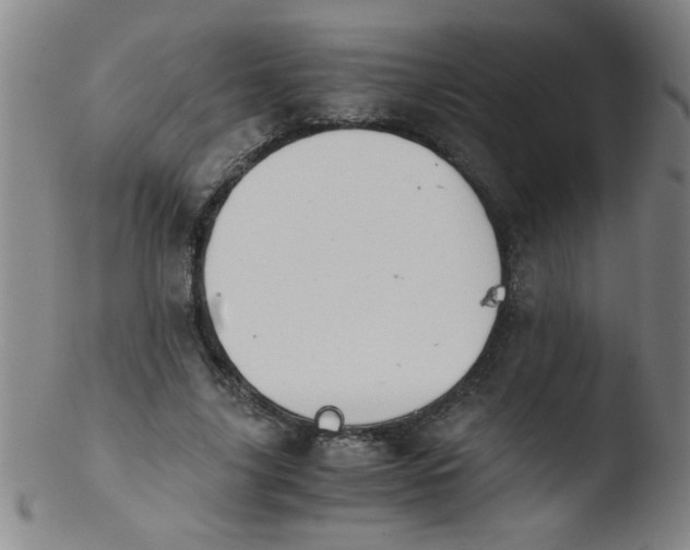 X0000103480635200809261928