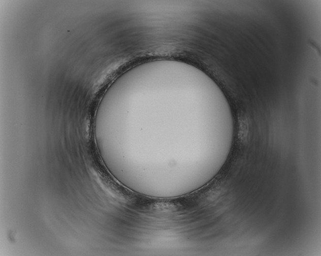 X0000103480636200809261928