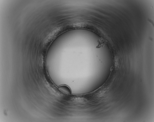 X0000103480637200809261928