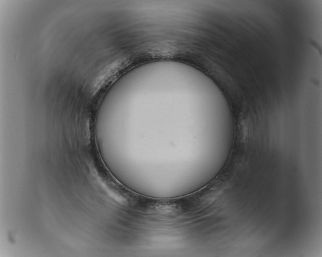 X0000103480638200809261928