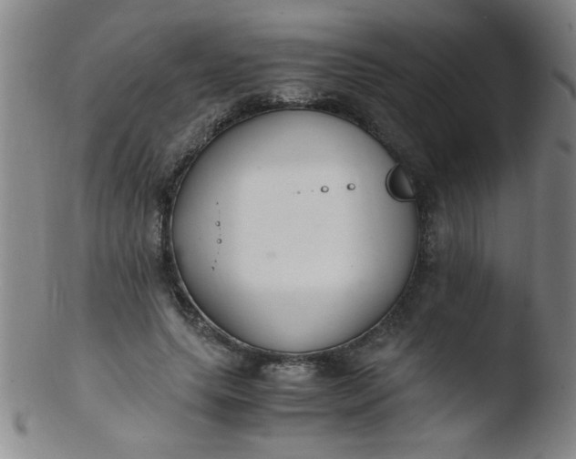 X0000103480639200809261928