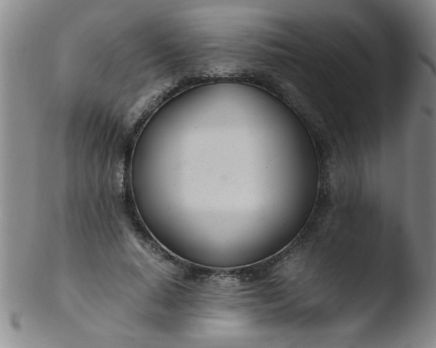 X0000103480640200809261928