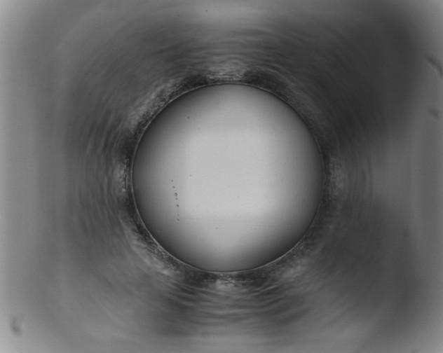 X0000103480641200809261928