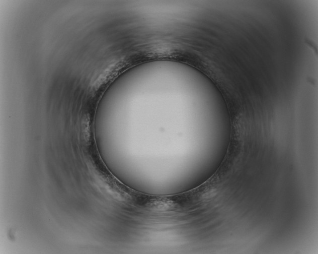 X0000103480642200809261928