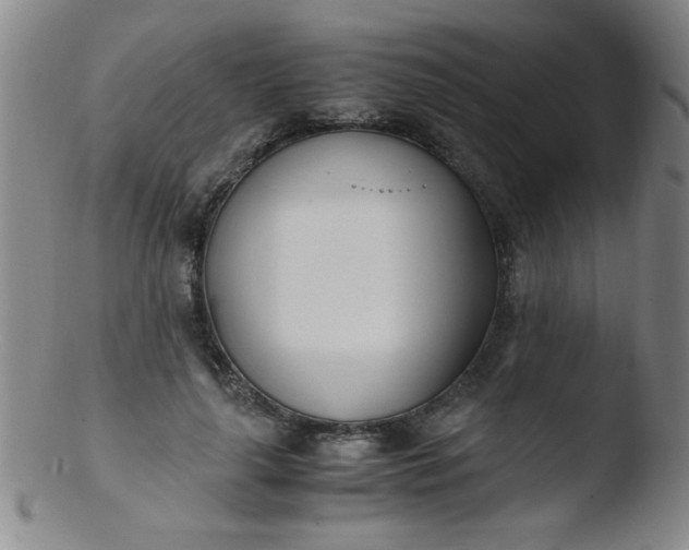 X0000103480643200809261928