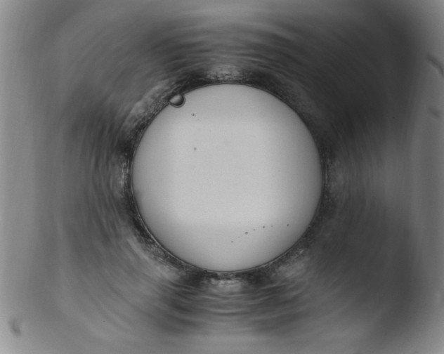 X0000103480645200809261928