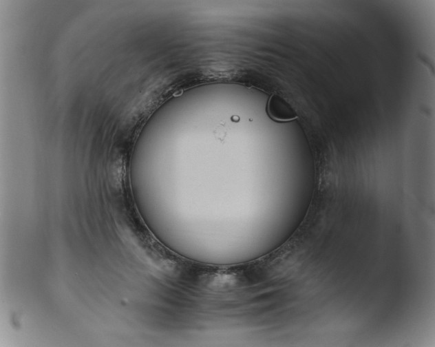 X0000103480647200809261928