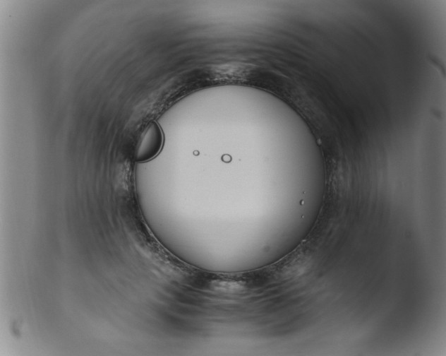 X0000103480649200809261928