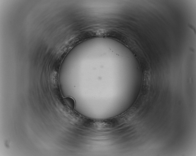 X0000103480650200809261928