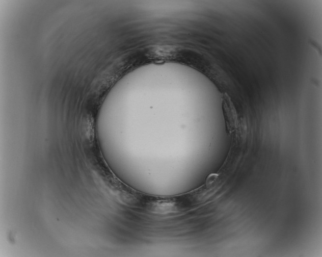 X0000103480651200809261928