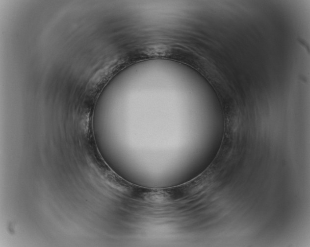 X0000103480652200809261928