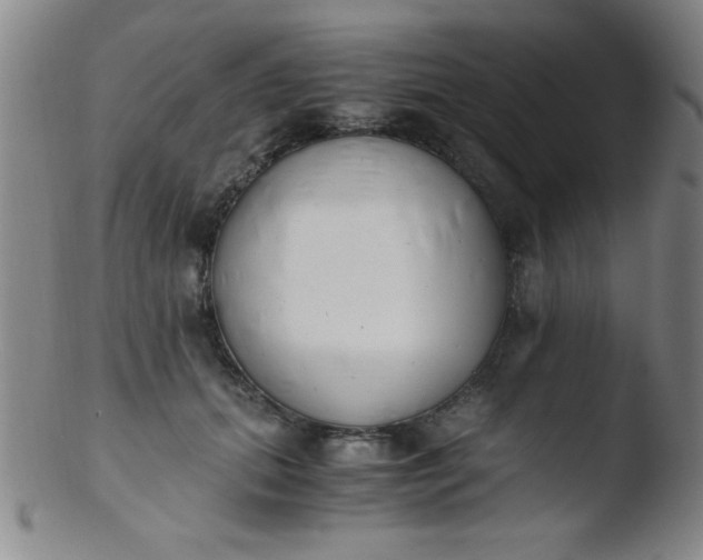 X0000103480655200809261928