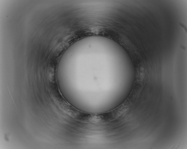 X0000103480656200809261928