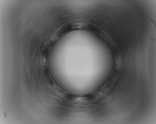 X0000103480657200809261928