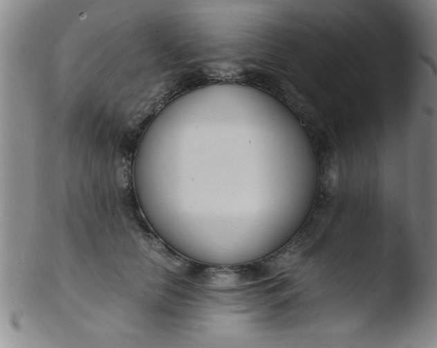 X0000103480658200809261928