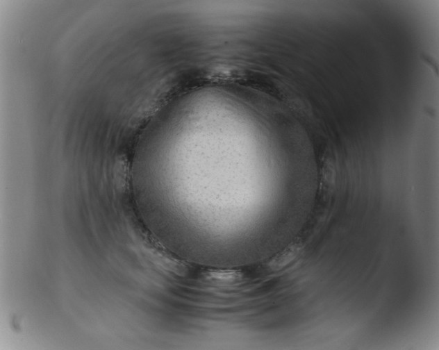 X0000103480659200809261928