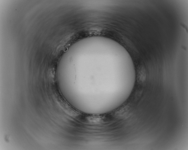 X0000103480661200809261928